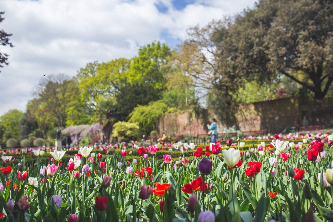 beautiful spring garden