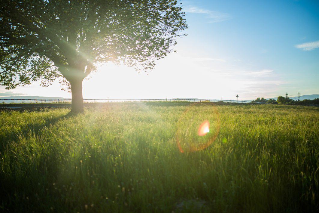 Nature Sky Summer Sun