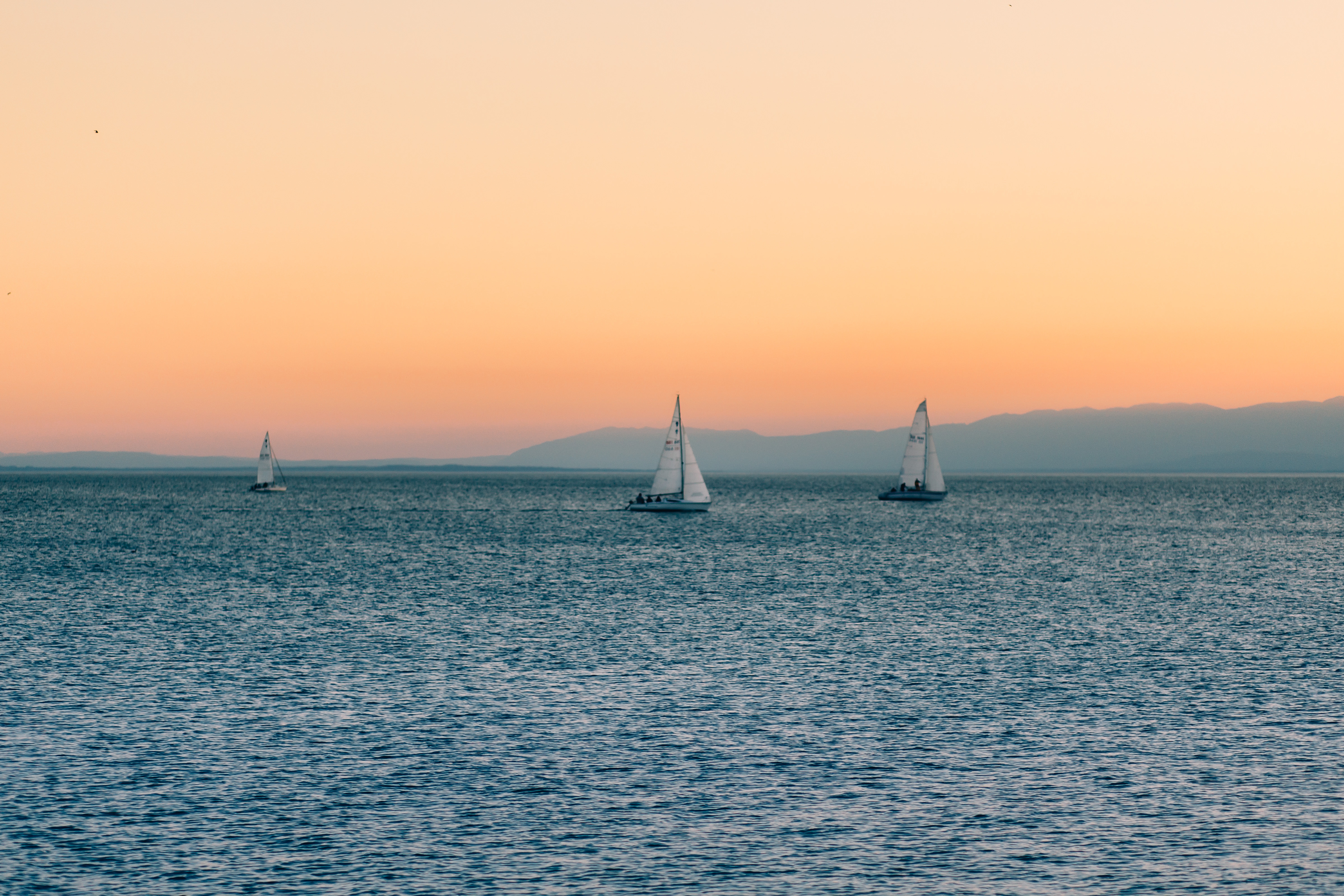 Sailboats on Water Sunset Free Stock Photo 