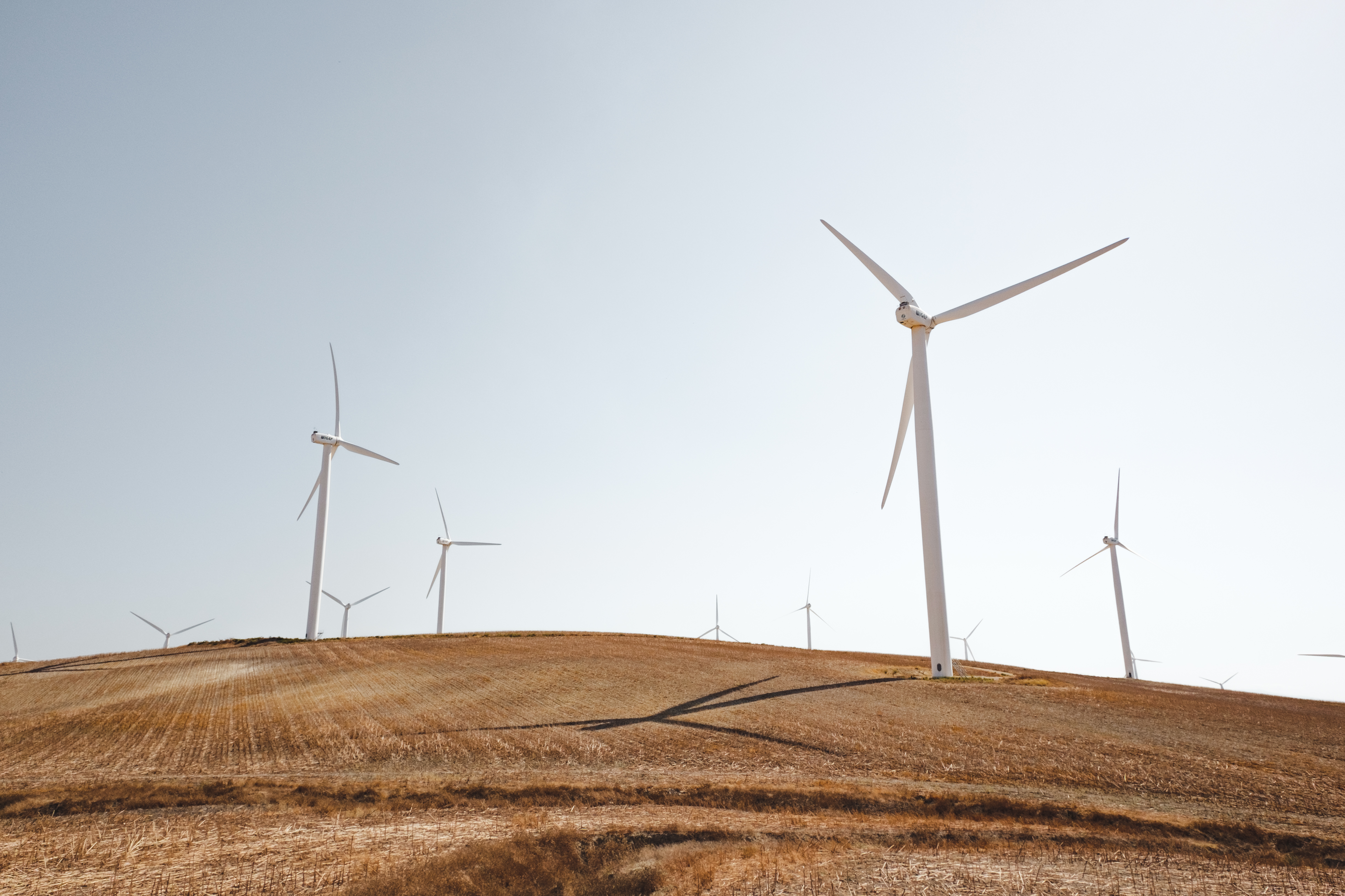 Solar Wind Turbines