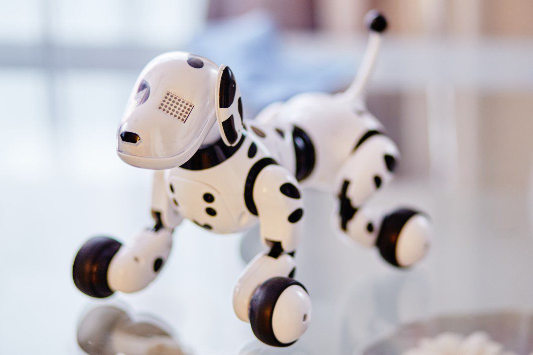 White \u0026 Black Robot Dog Free Stock 