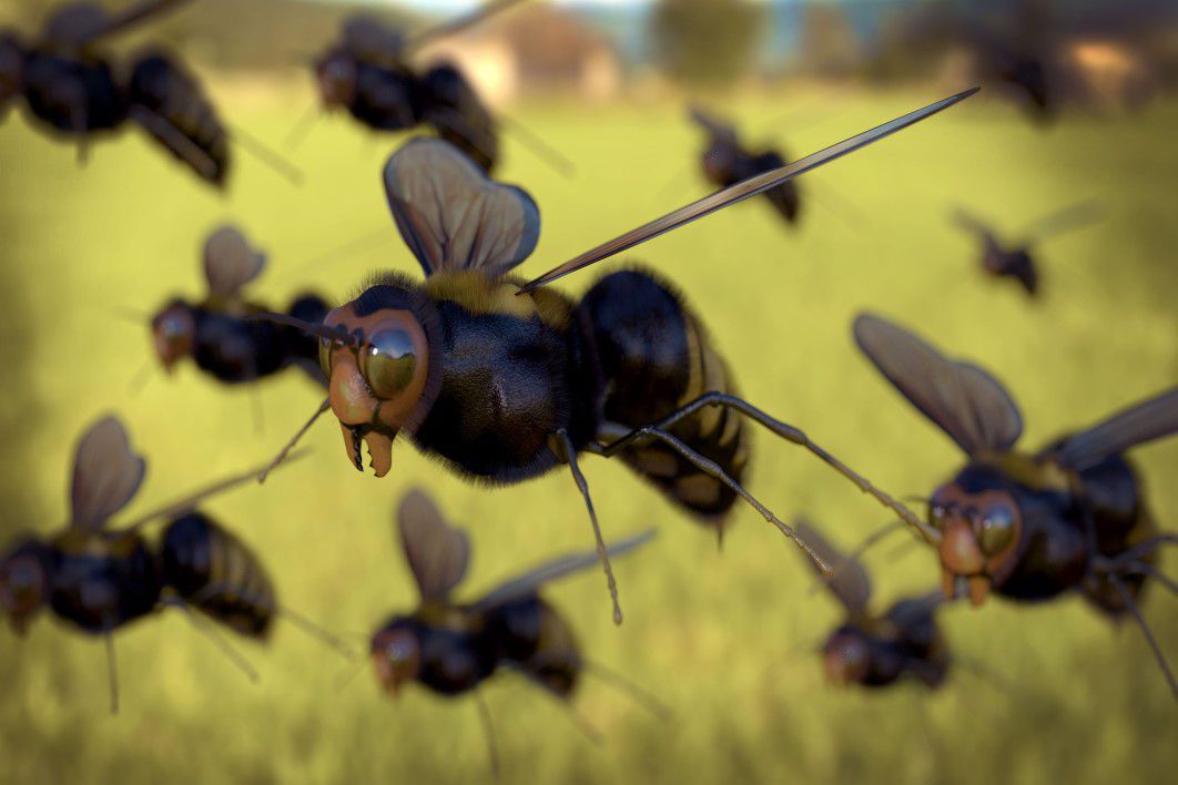 Closeup Flying Honeybee Insects