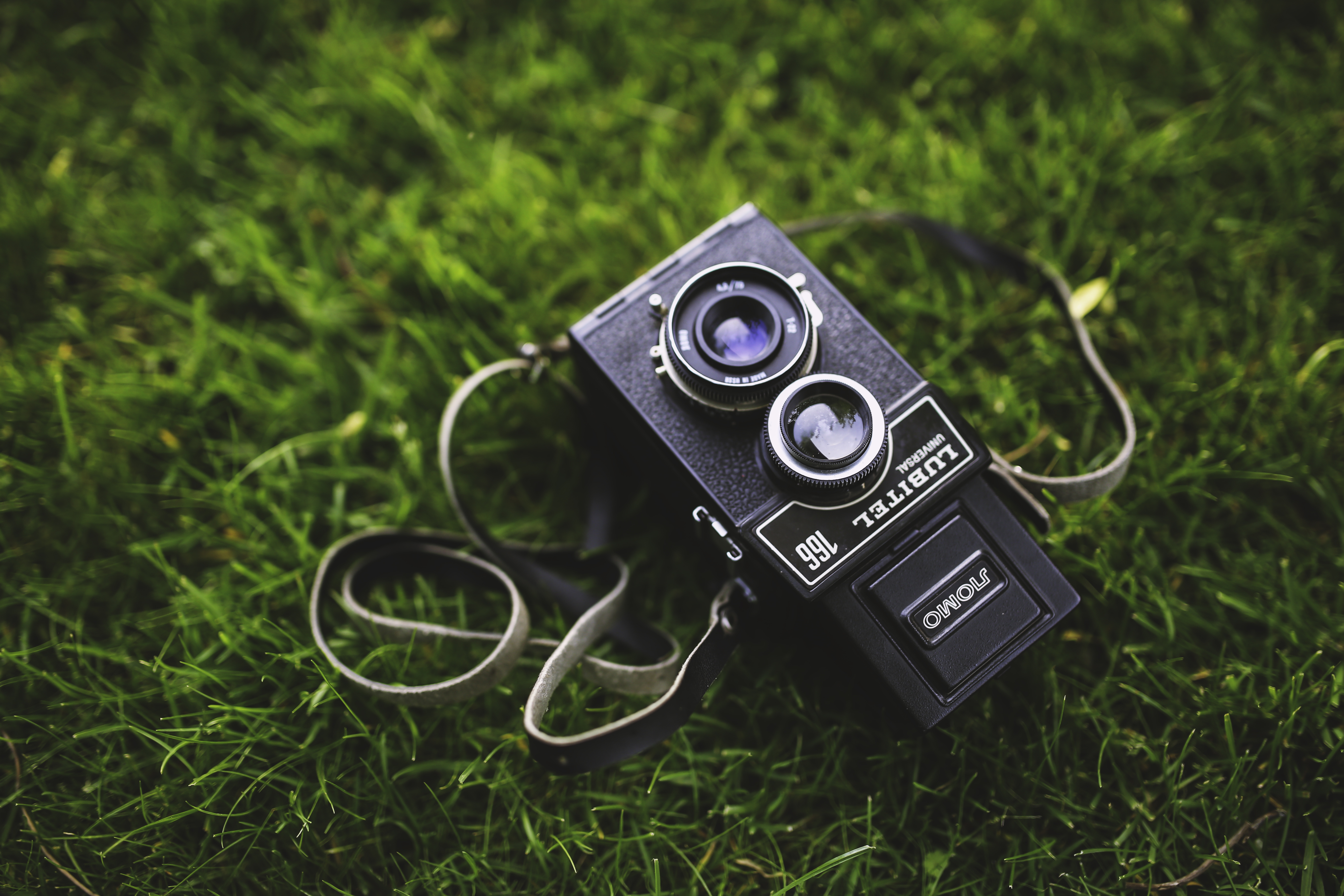 Vintage Camera Grass