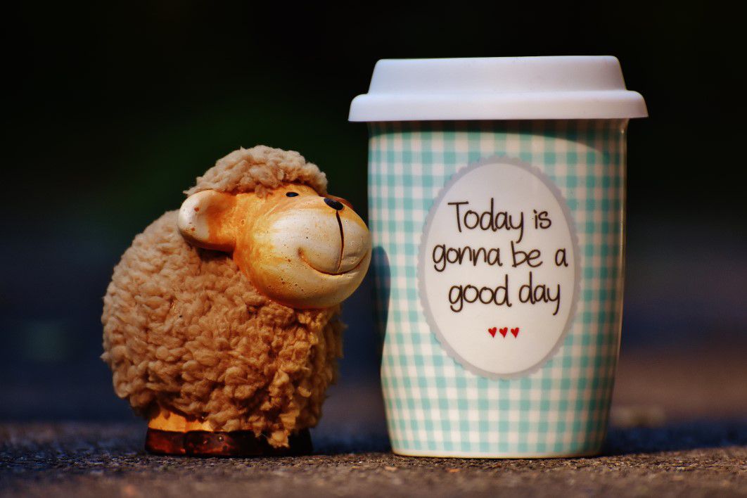 Good Day Cup Sheep