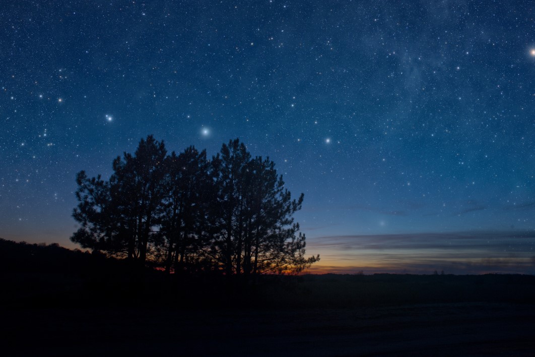 Night Tree Silhouette Stars