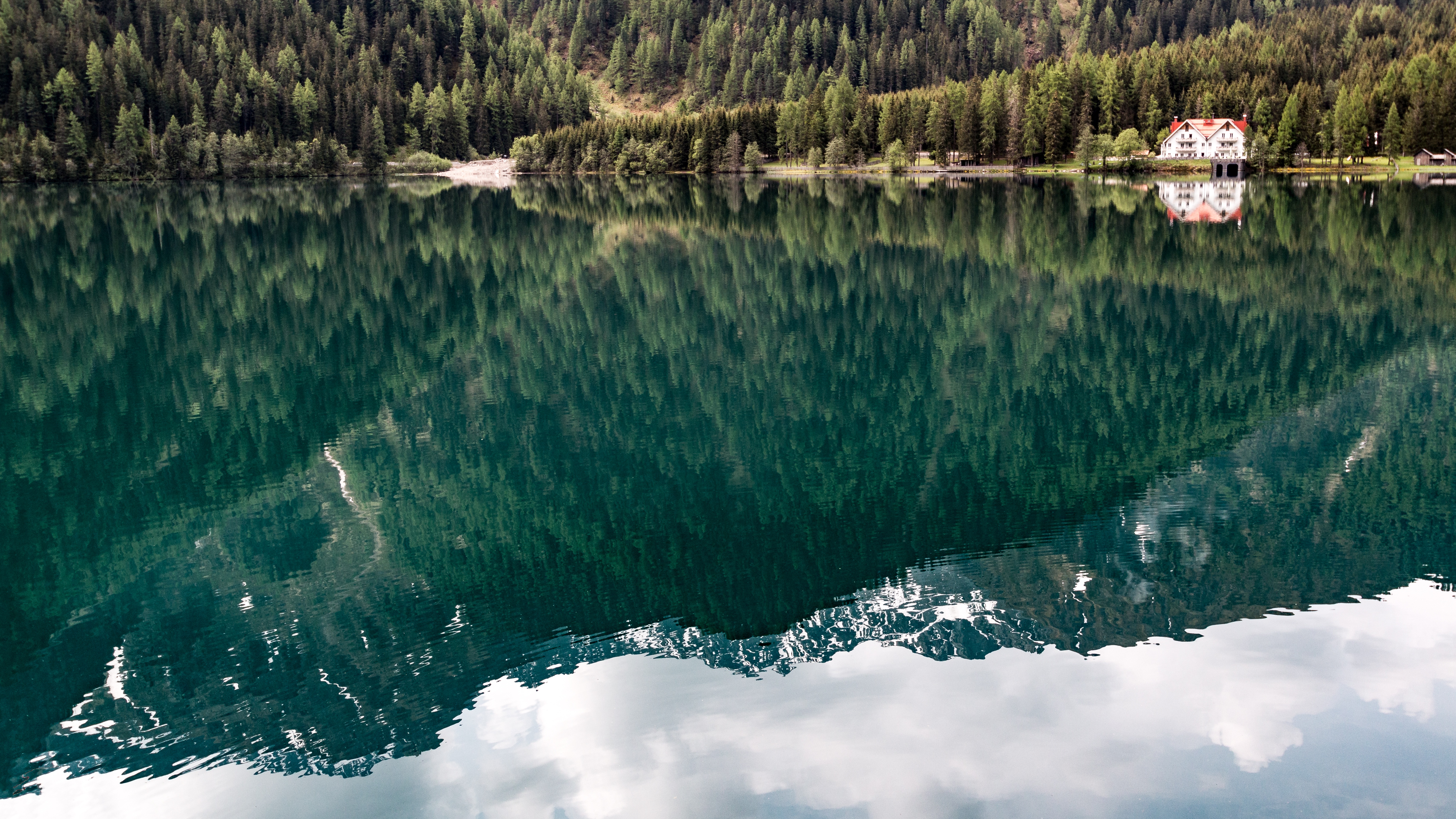 Conifer Trees Lake Reflection