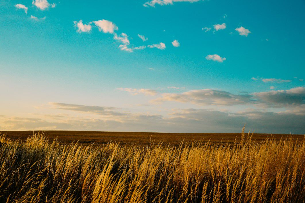 Blue Sky Farm Field Summer