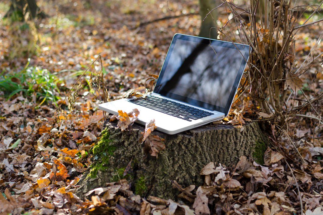 Laptop Tree Leaves Autumn Fall