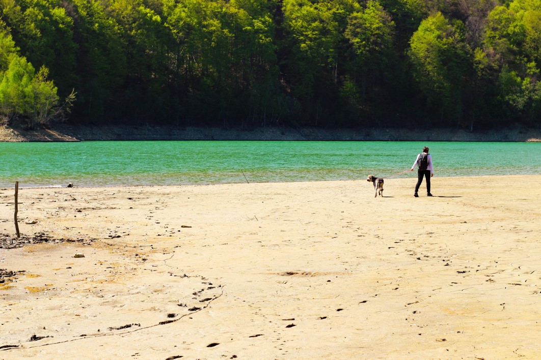 Man Walking Dog Beach Lake Water