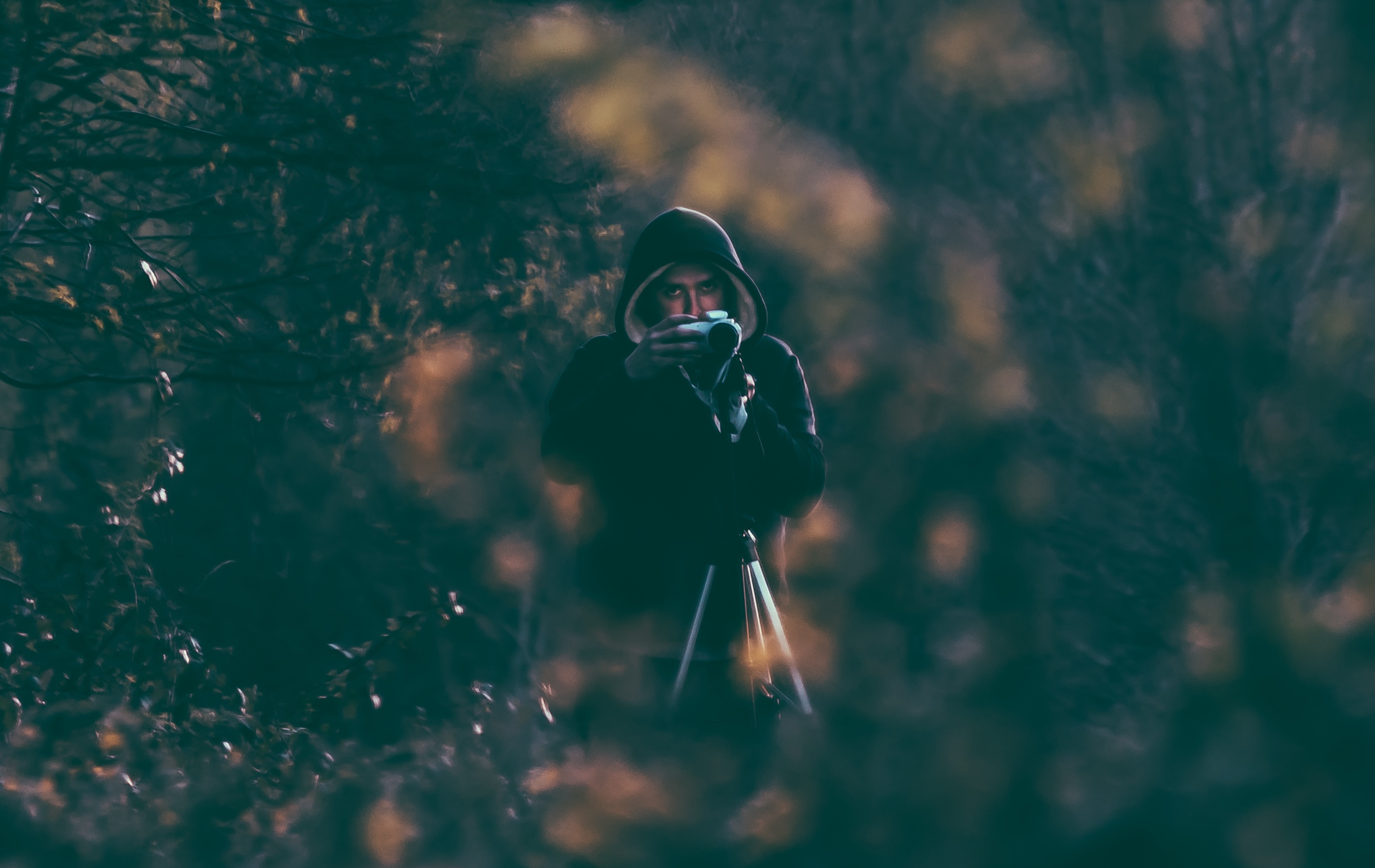 Photographer Camera Forest Man