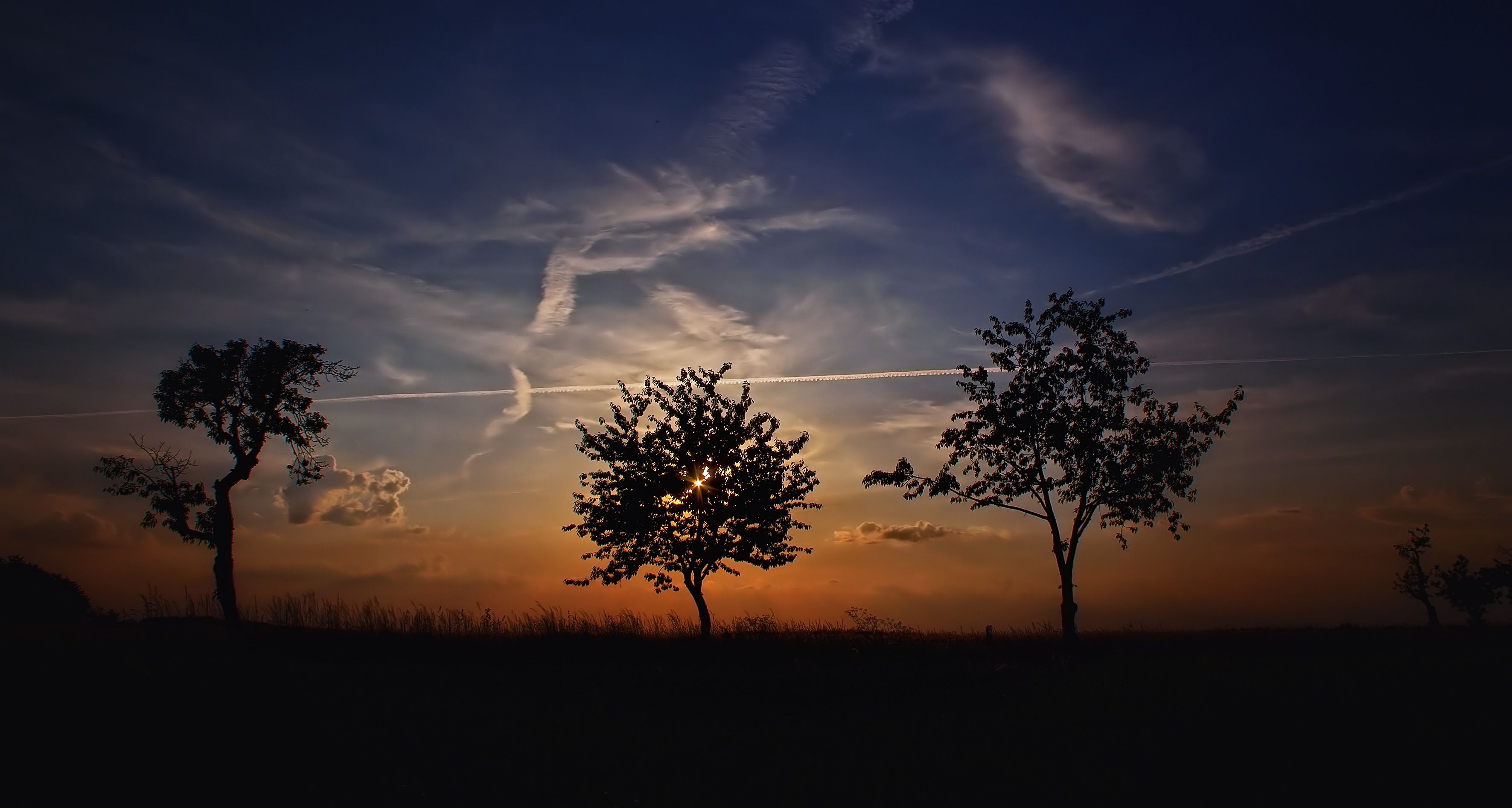 Sunset Trees Dusk