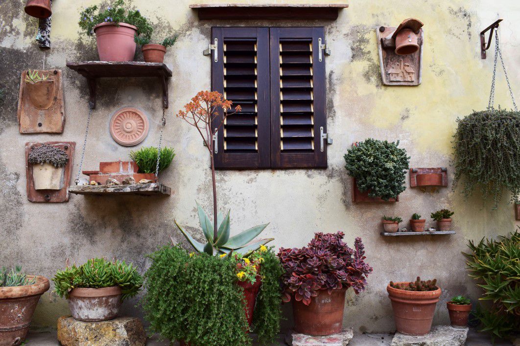 Window Plants Wall House