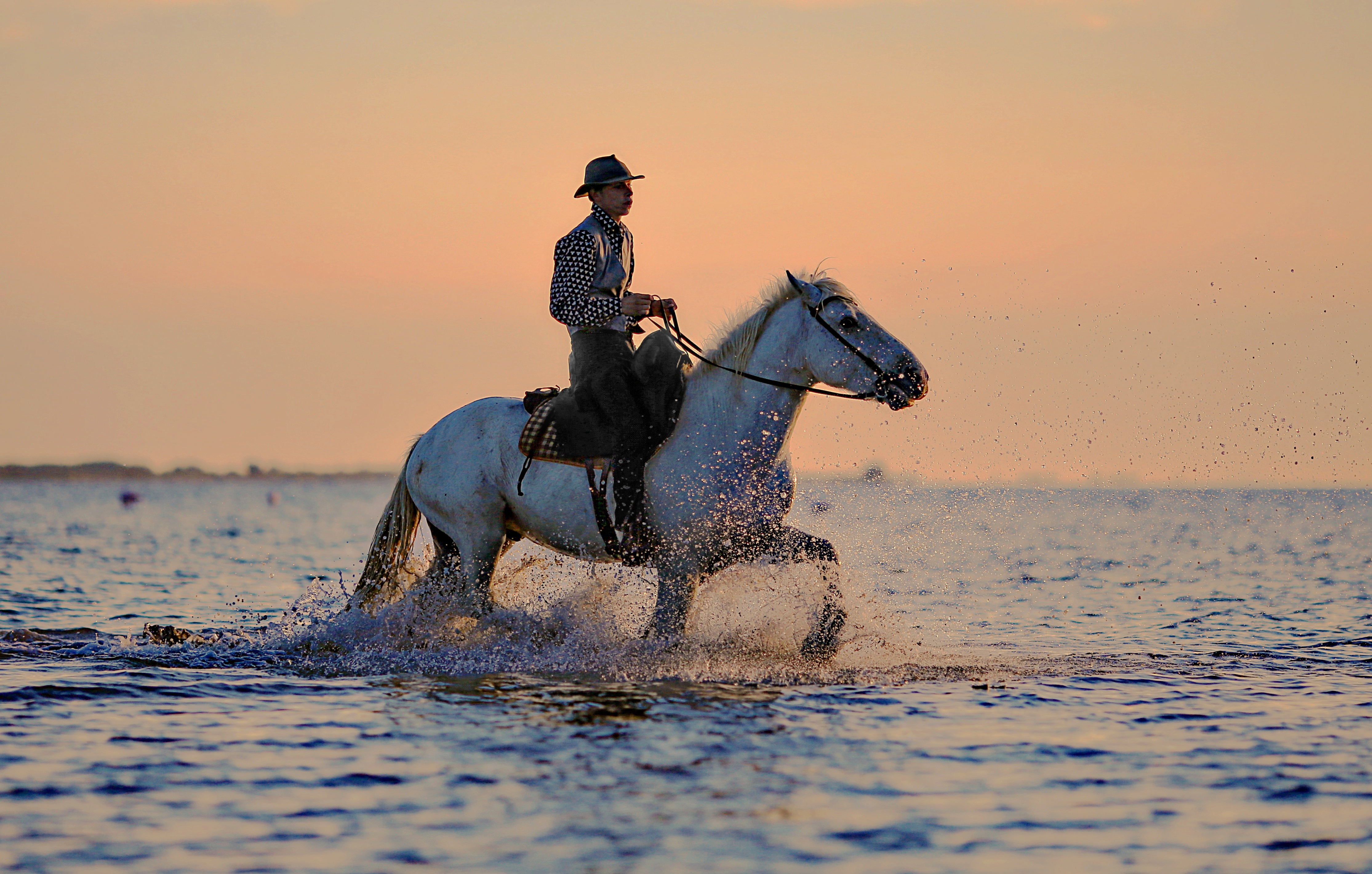 Man Horse Cowboy Hat Sea Water Photo