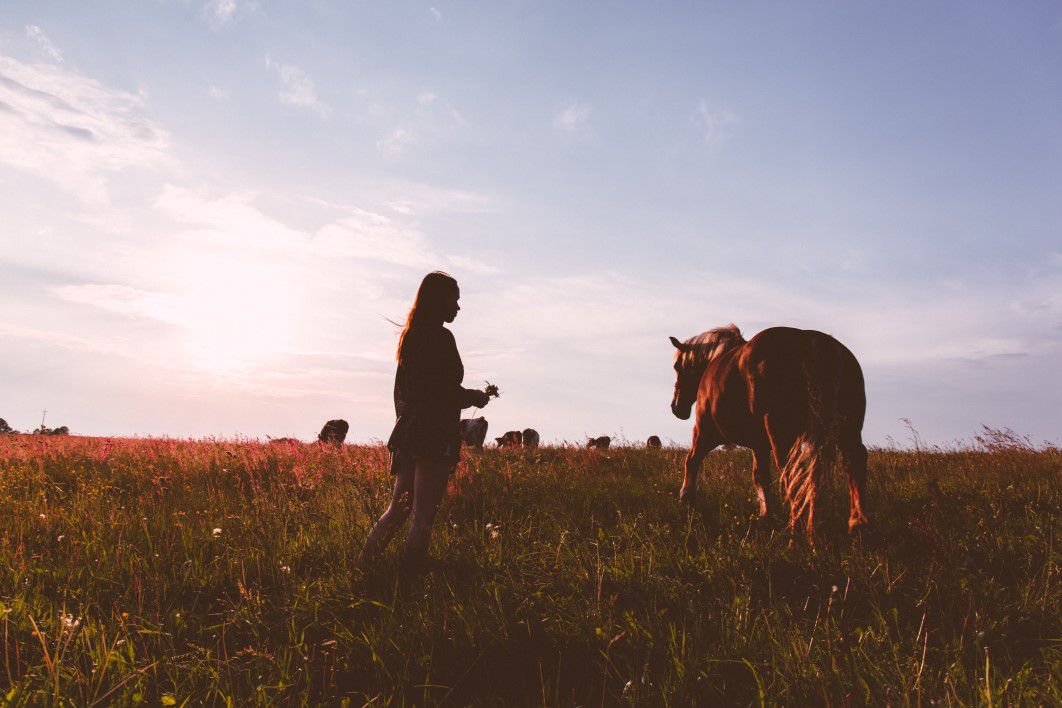 Girl Horse Sunset Field Woman