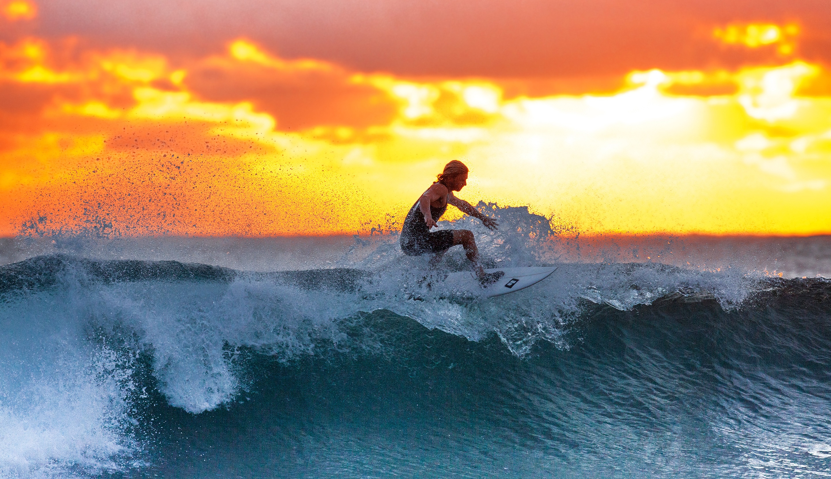 Surfer Wave Ocean