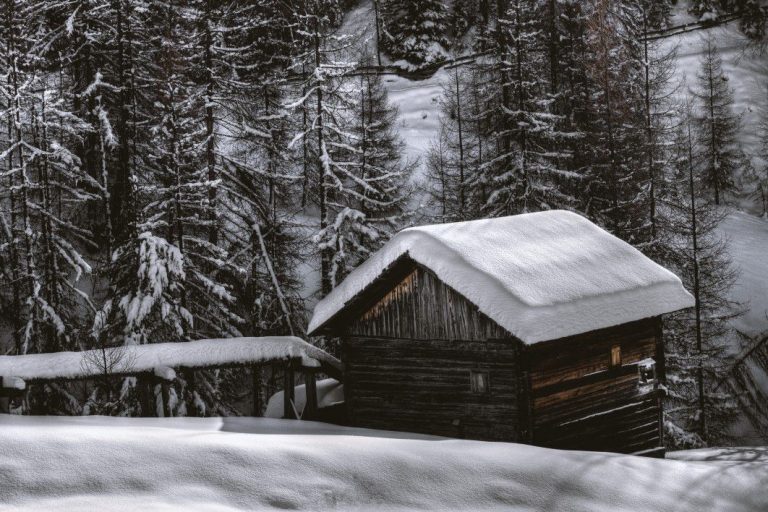 Hut Cabin Snow Forest Winter Royalty Free Photo