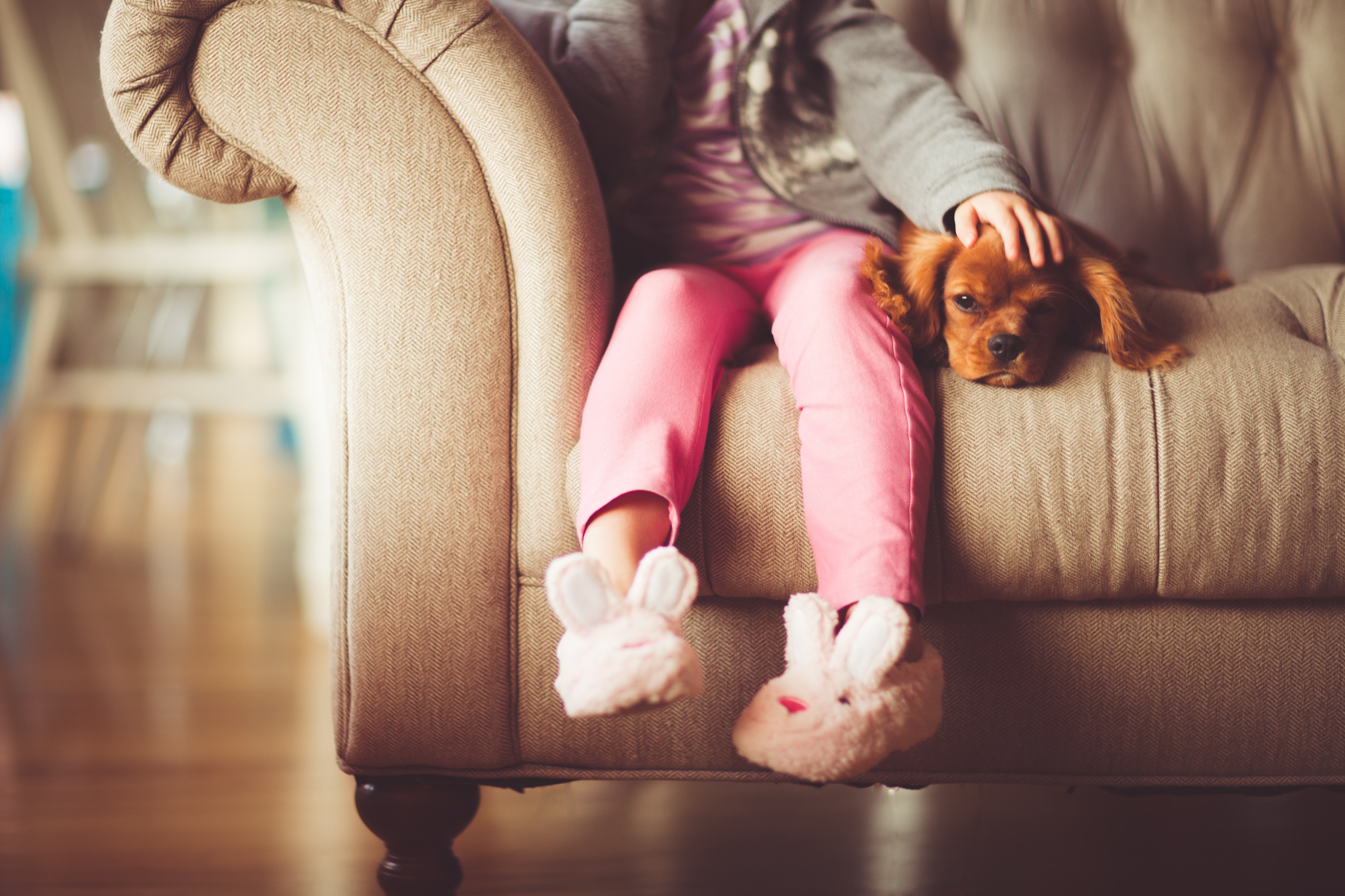 Girl Puppy Sofa