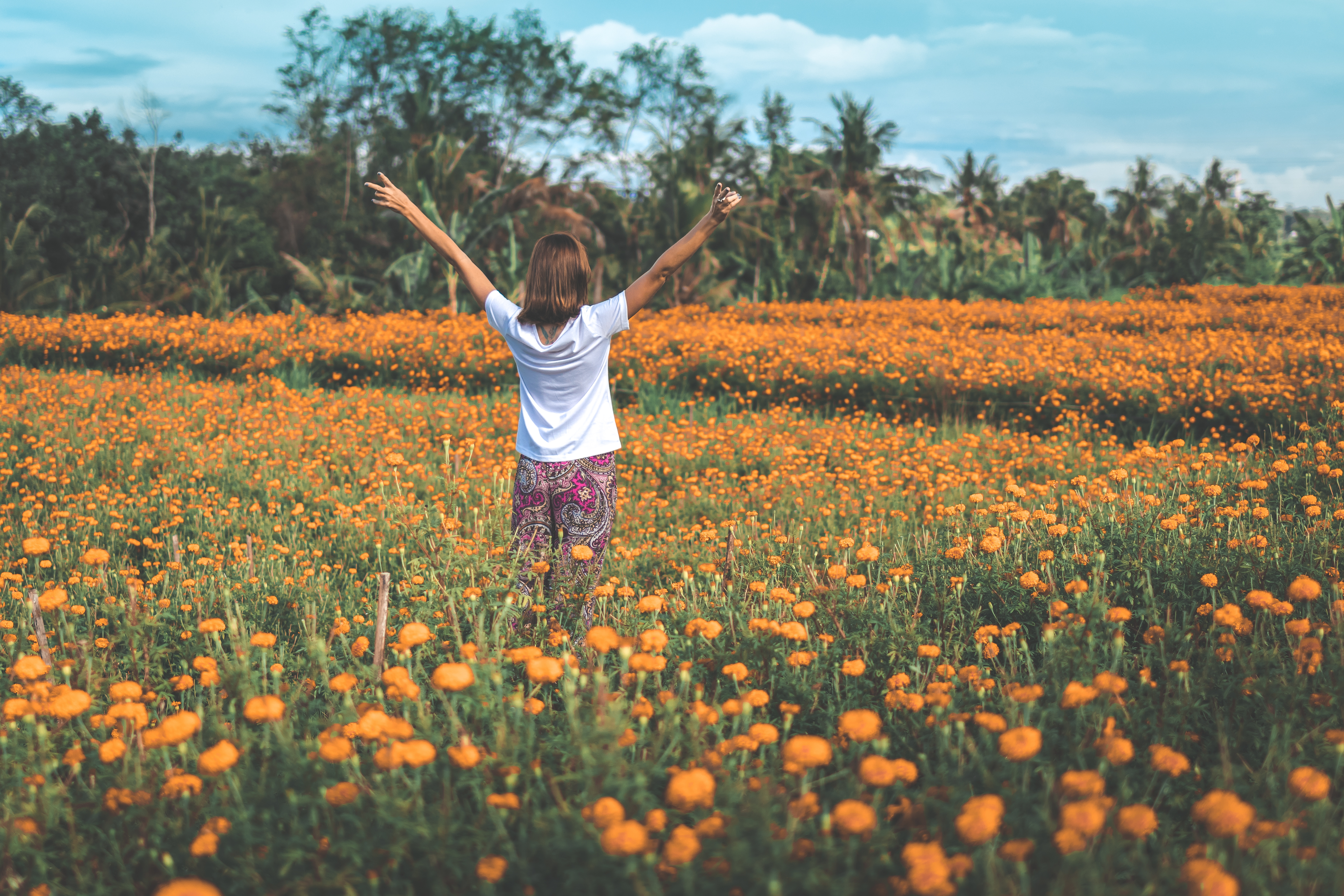 Woman Field Yellow Flowers