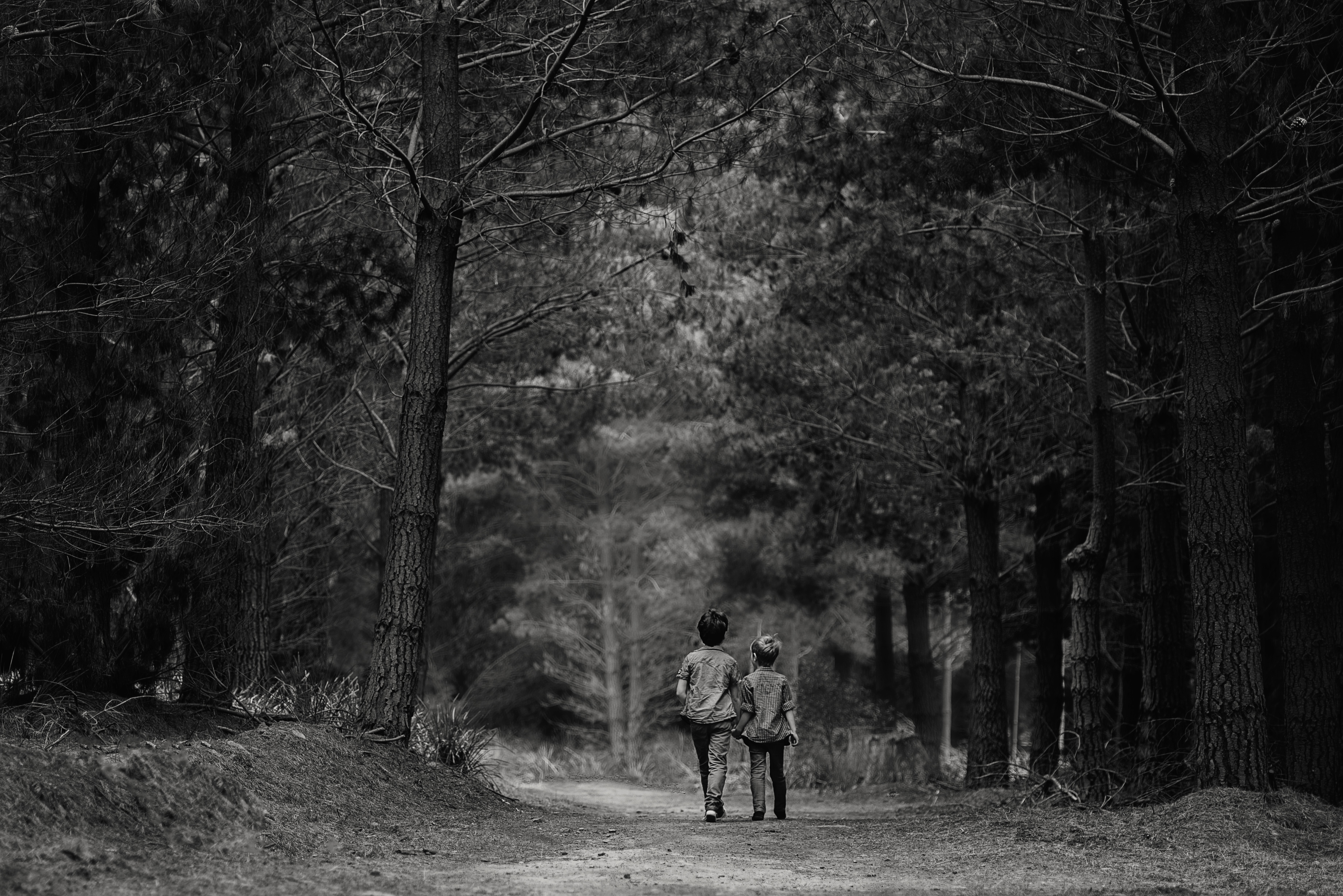 Boys Walking Forest Black White