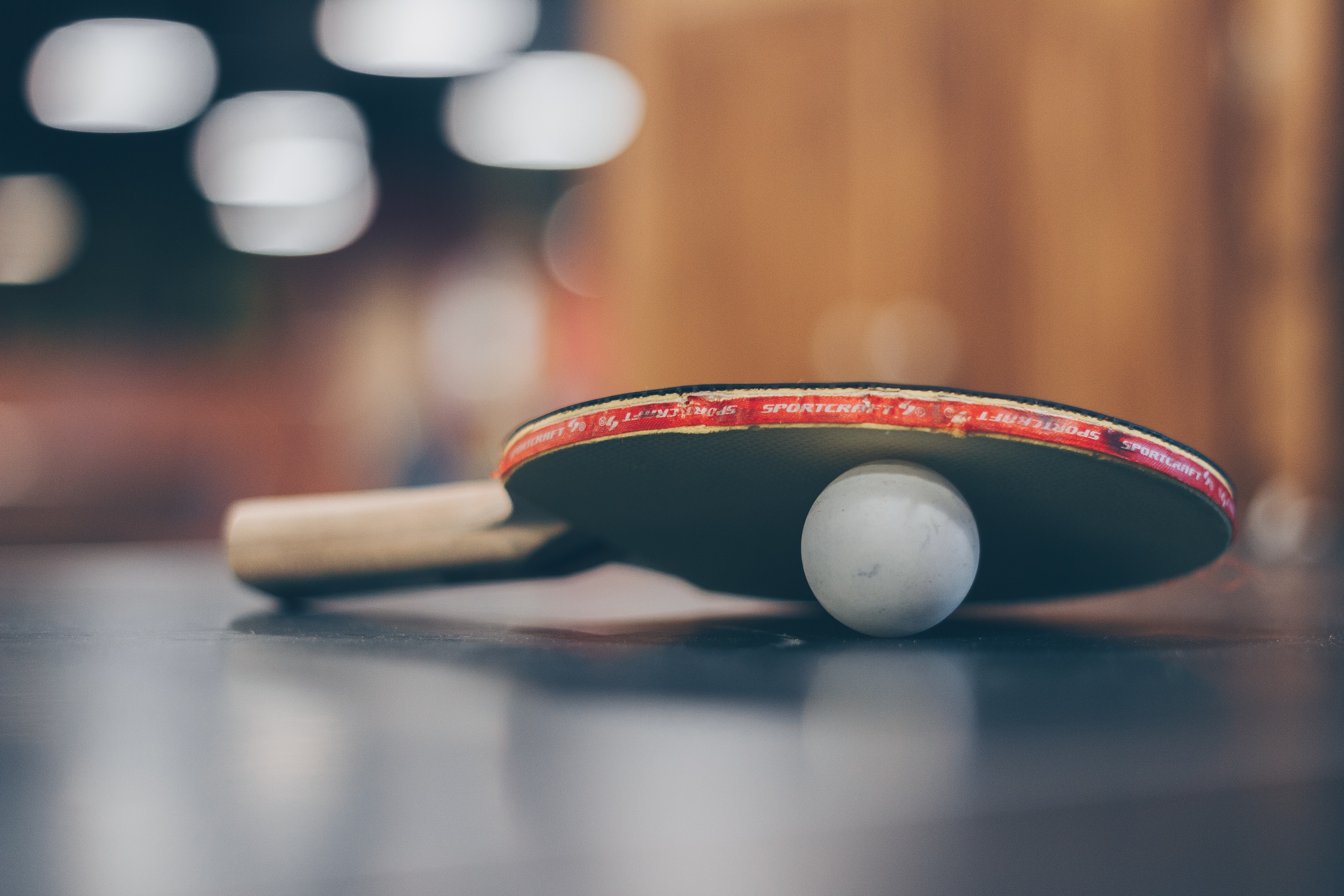 Ping Pong Paddle Ball