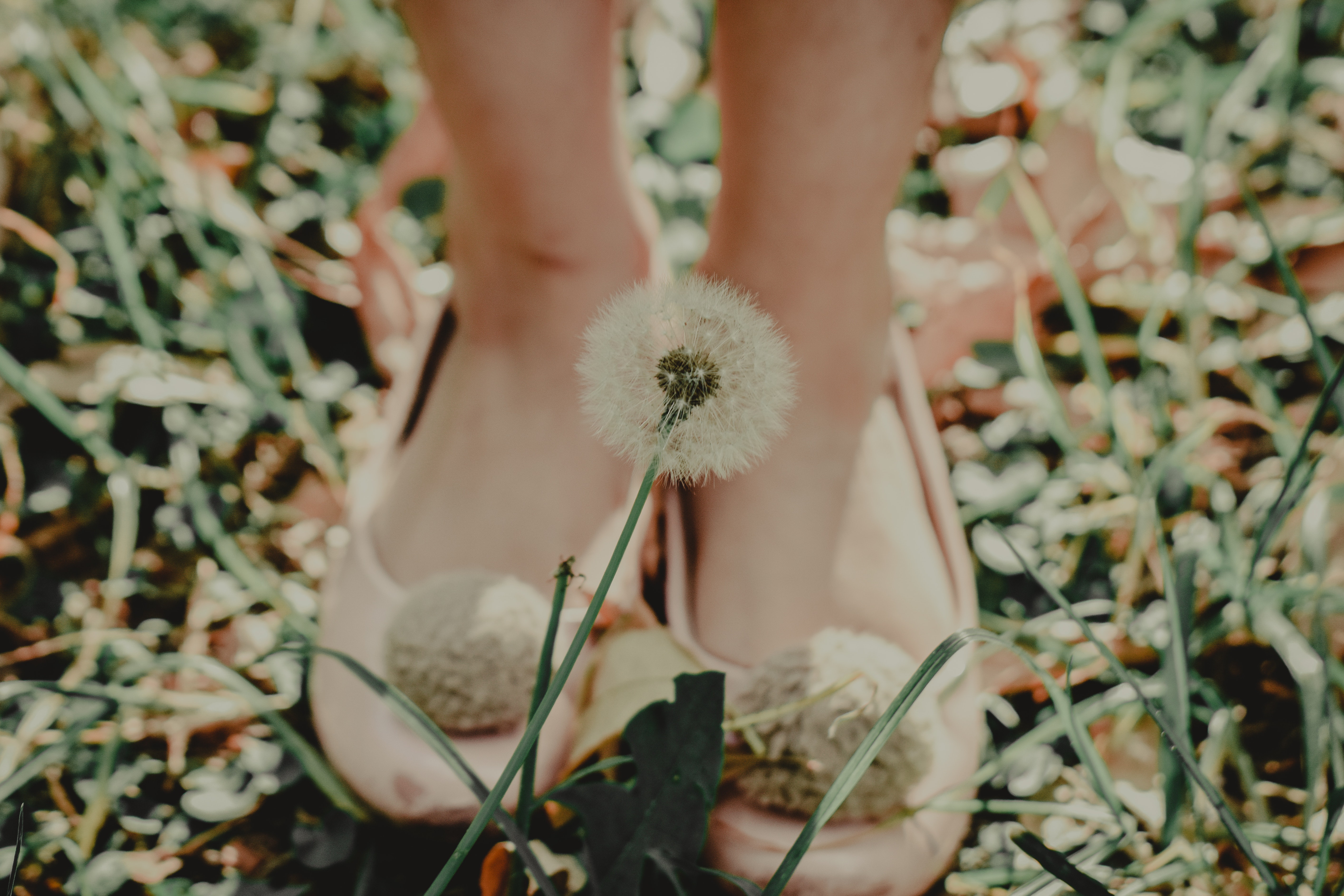 Woman Shoes Dandelion