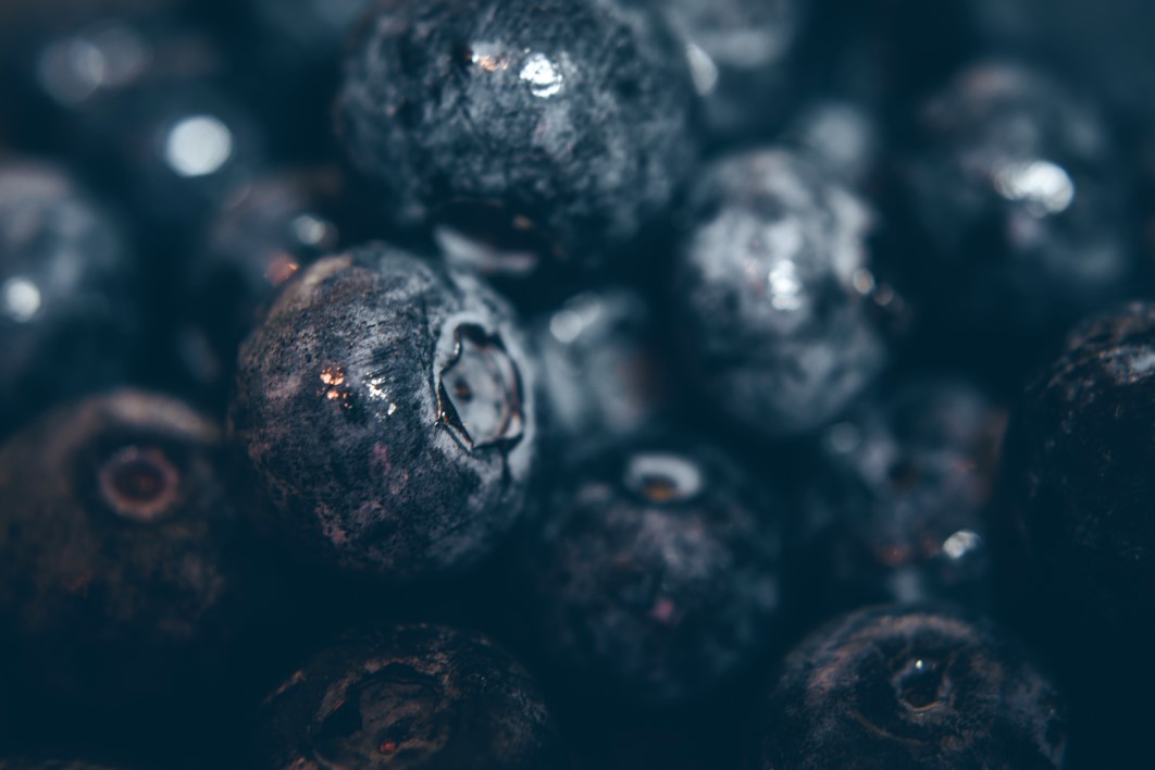 Blueberry Fruit Closeup