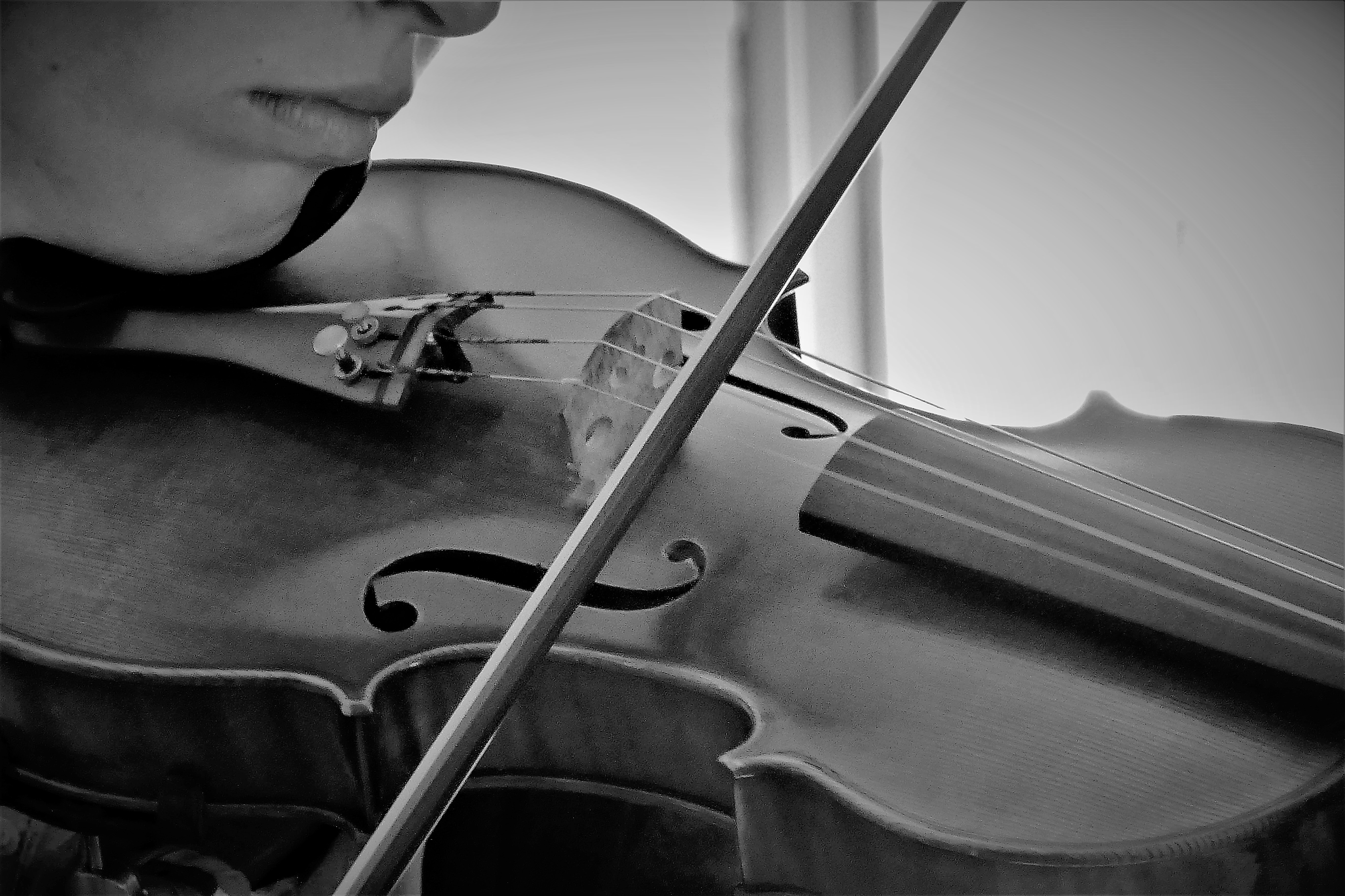 Violin Playing Musician