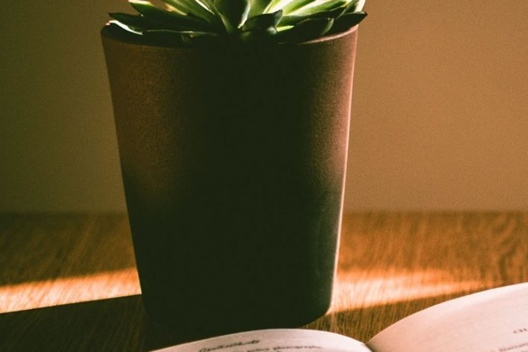 Book Open Table Cactus