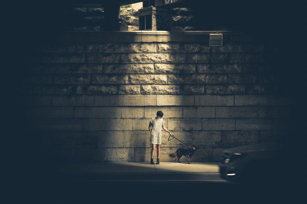 Woman Walking Dog Night