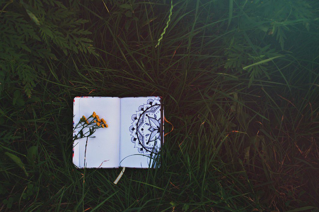 Art Book Grass