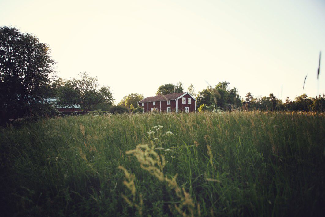 Farmhouse Summer Field