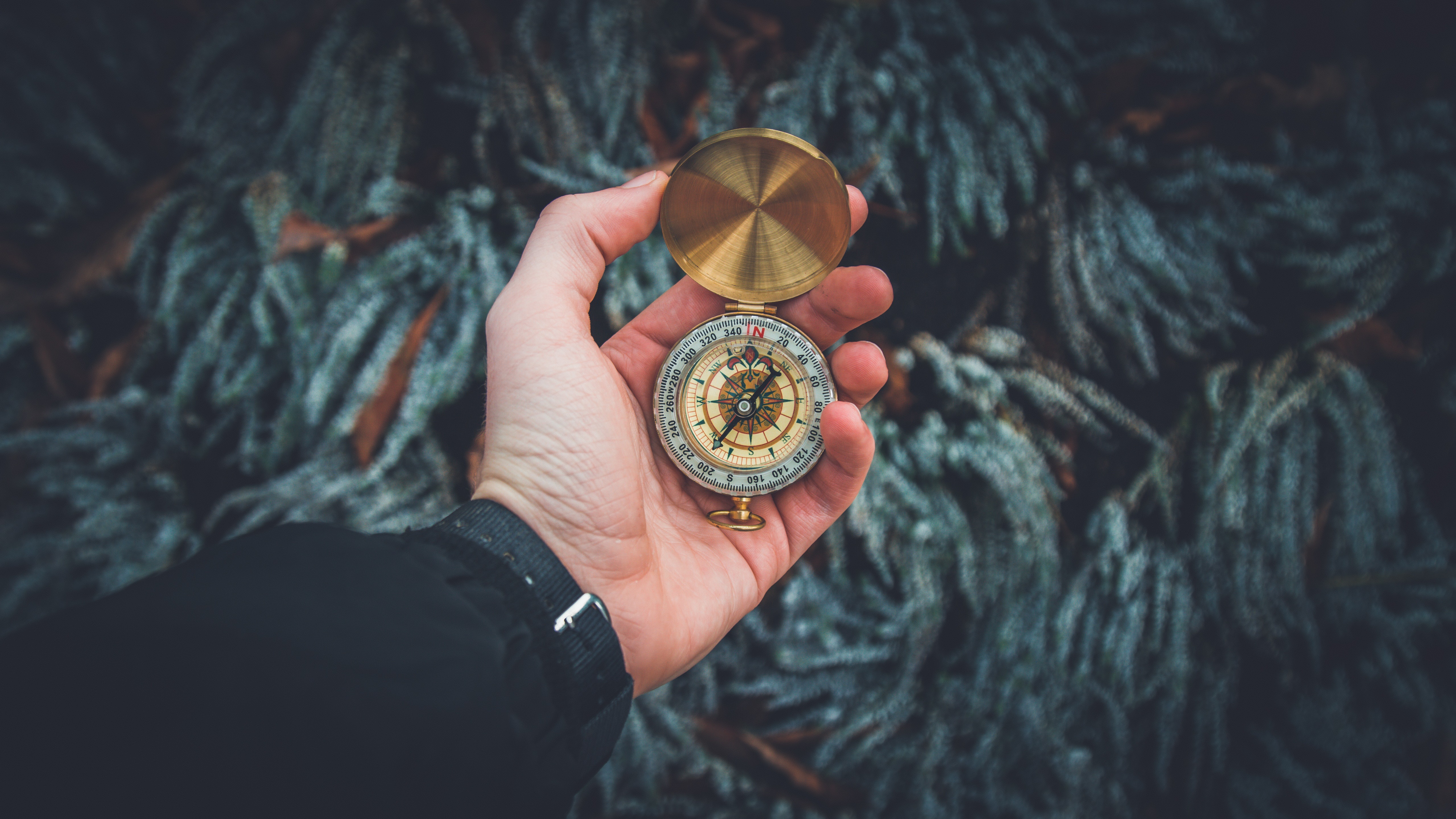 Man Holding Vintage Compass