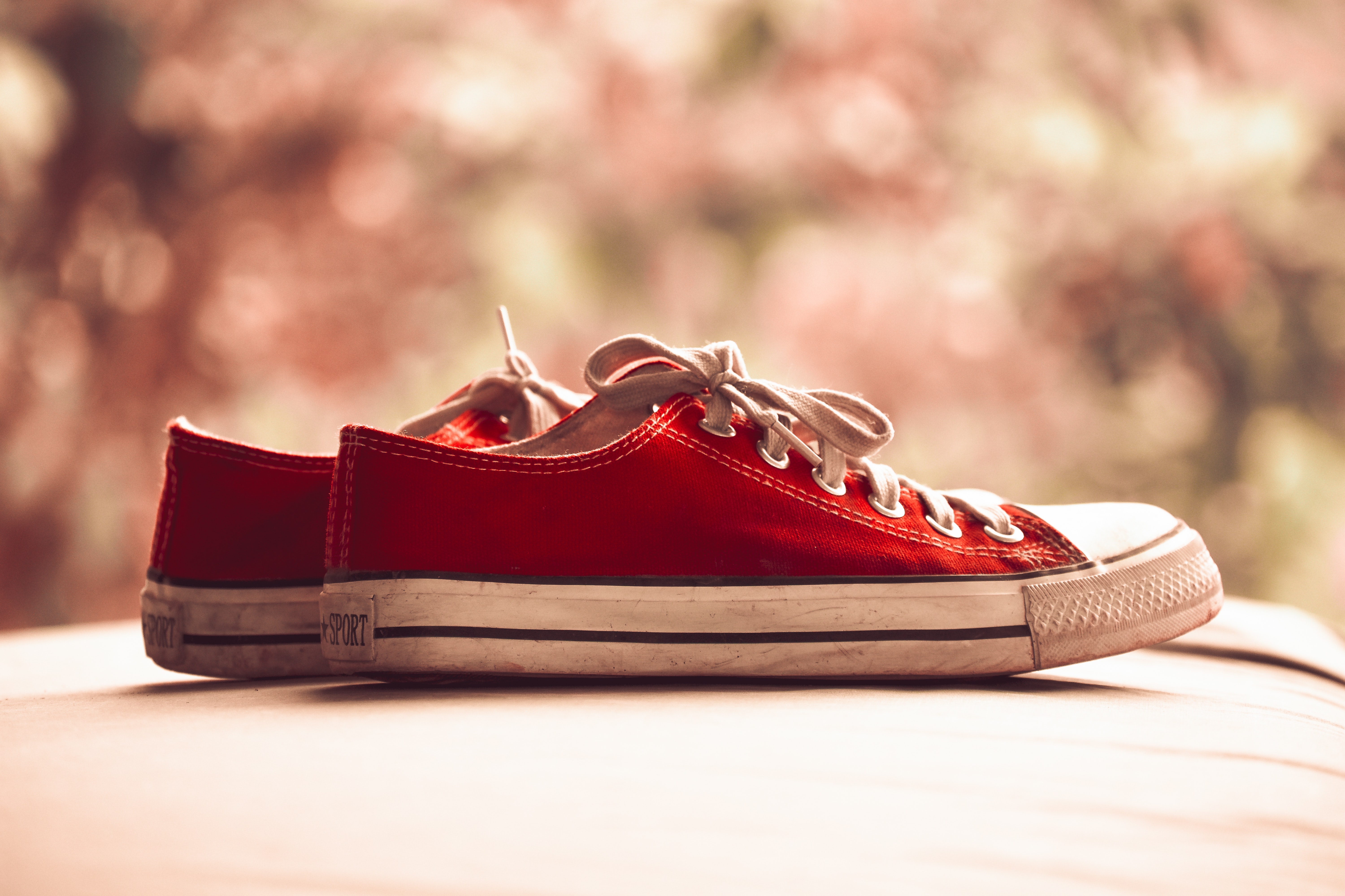 Red Sneakers Canvas Shoes