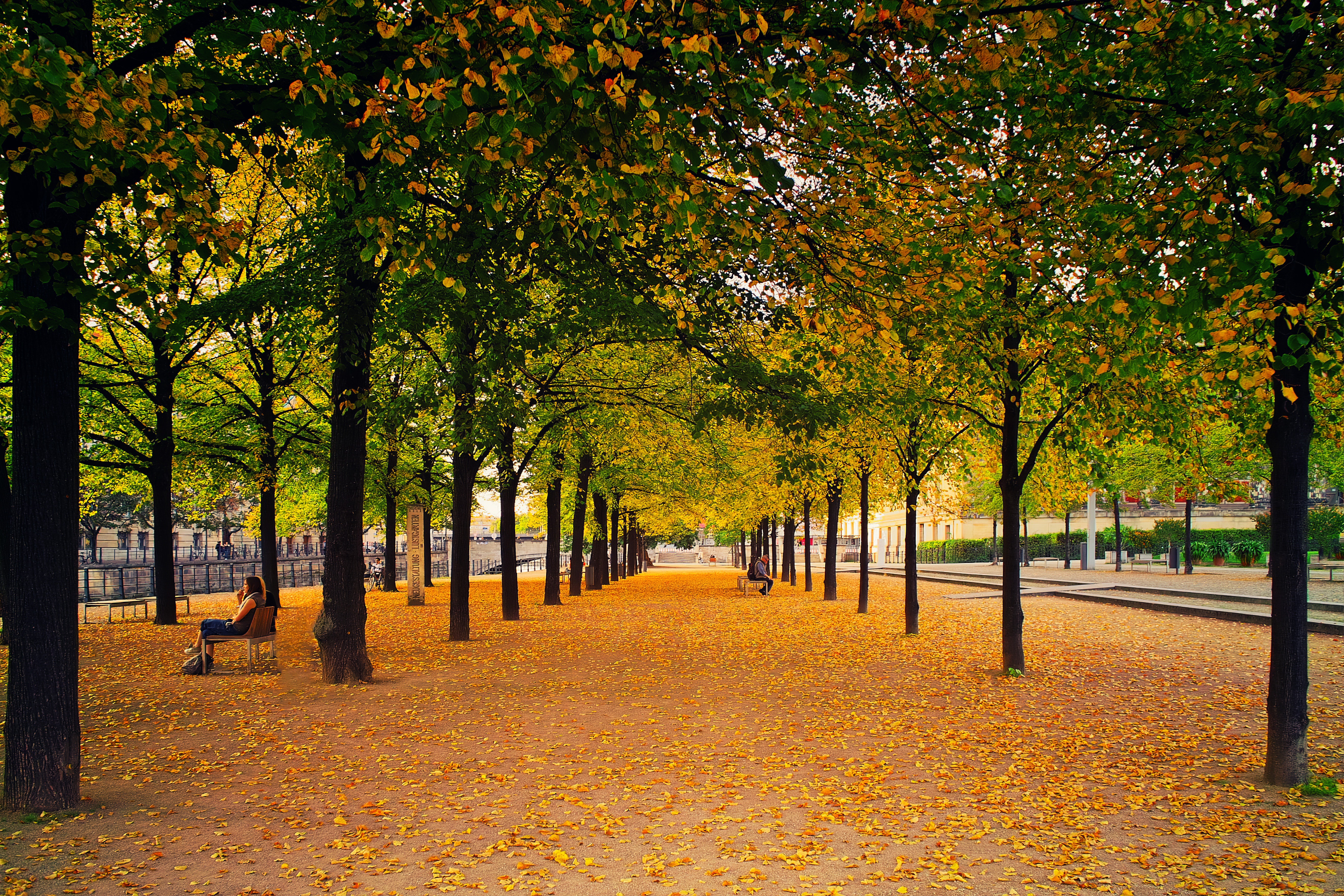 City Park Autumn