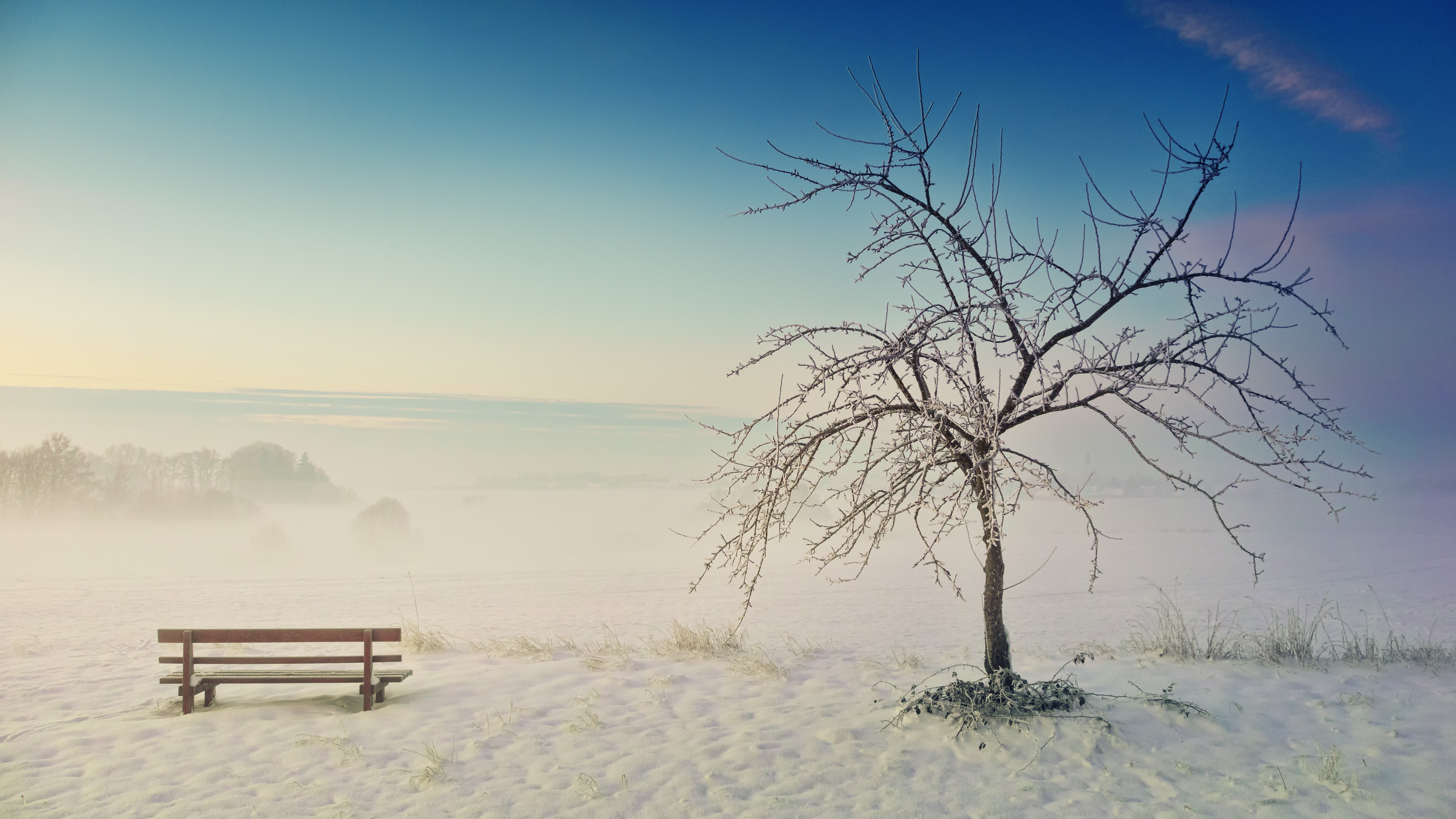 Park Bench Winter