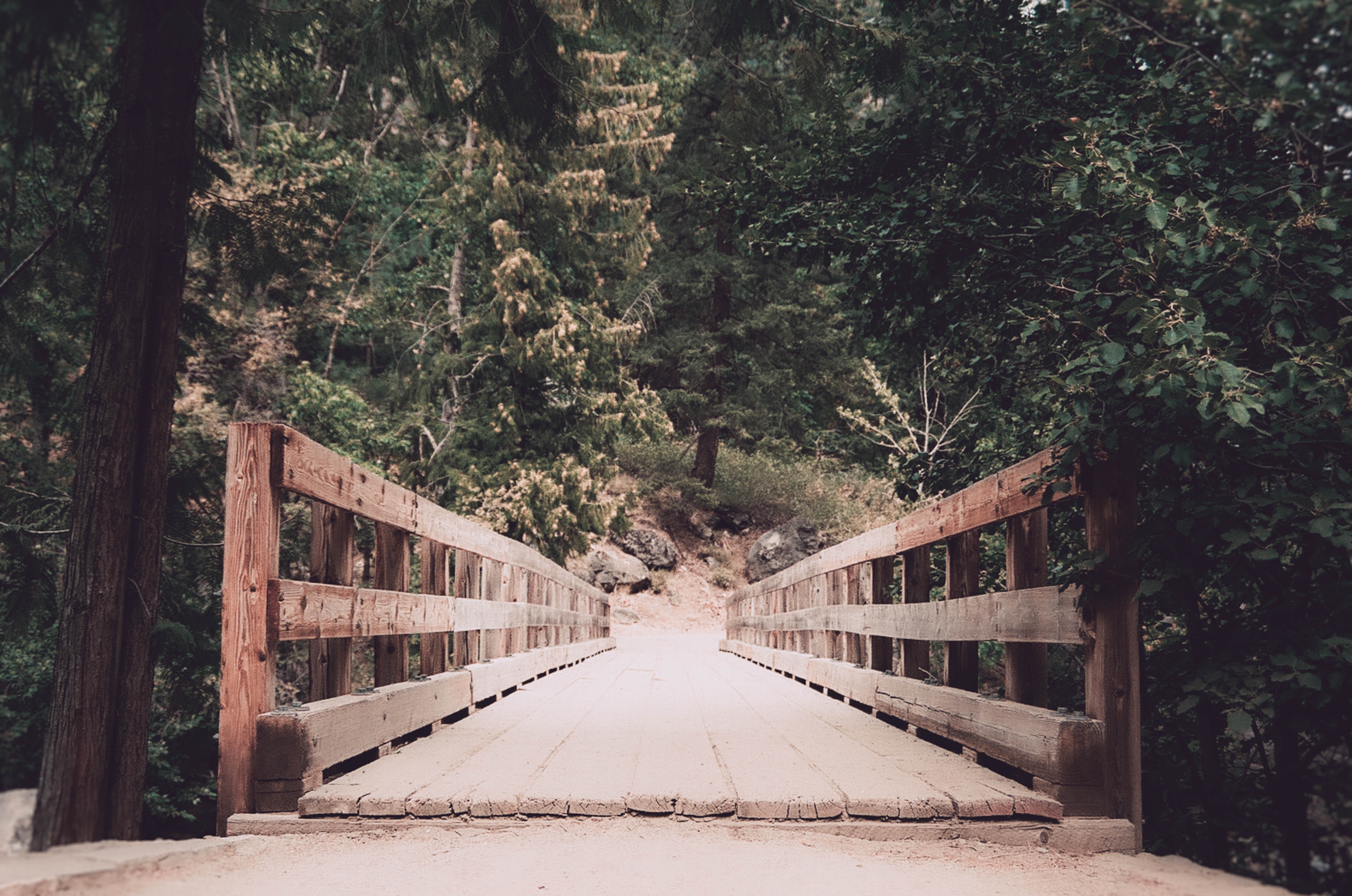 Rustic Wooden Bridge