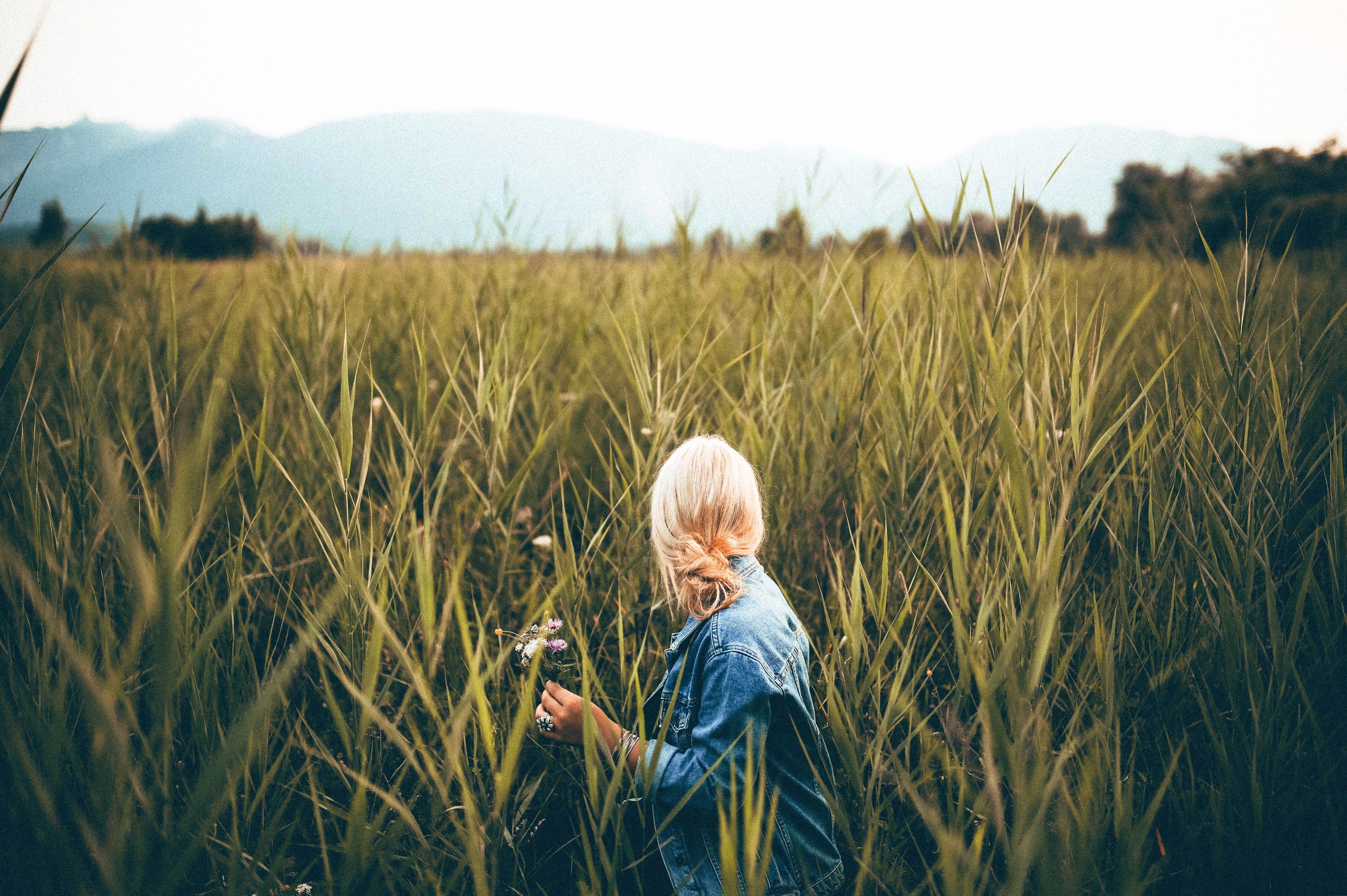 Woman Wheat Field Blonde