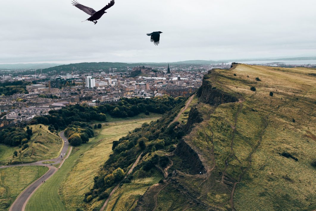 Crows Flying Over Mountains