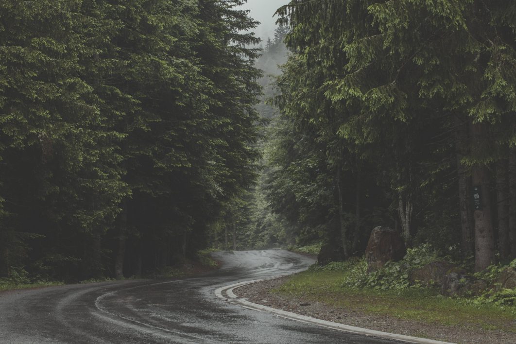 Windy Forest Road