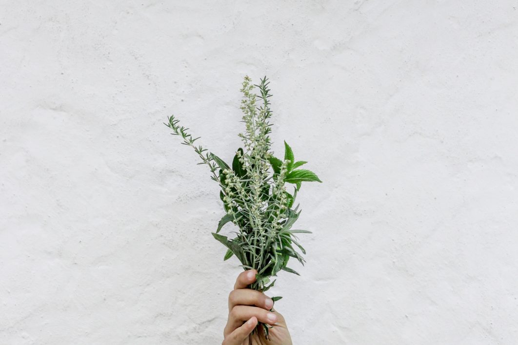 Hand Holding Flowers