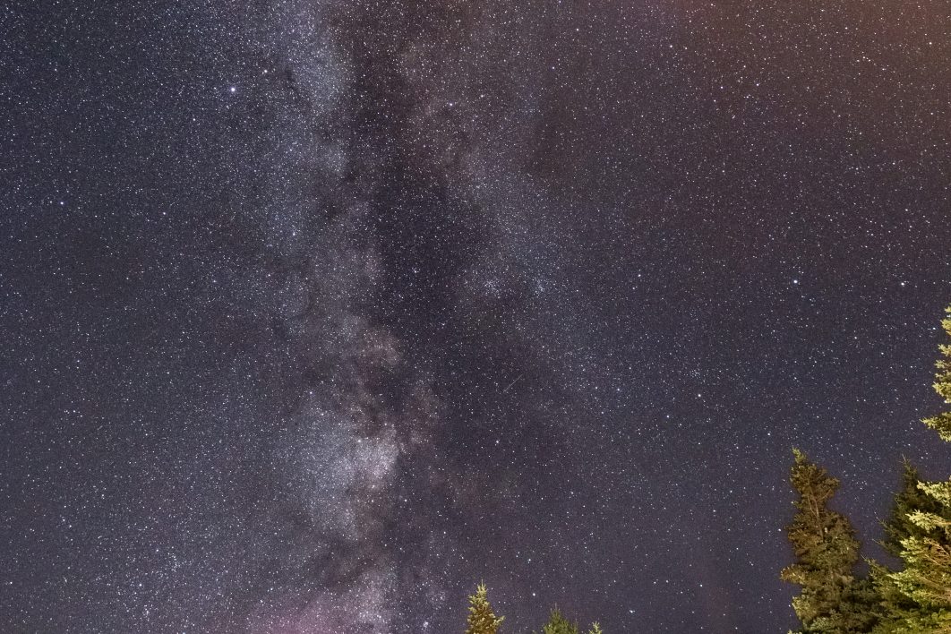 Milky Way Forest