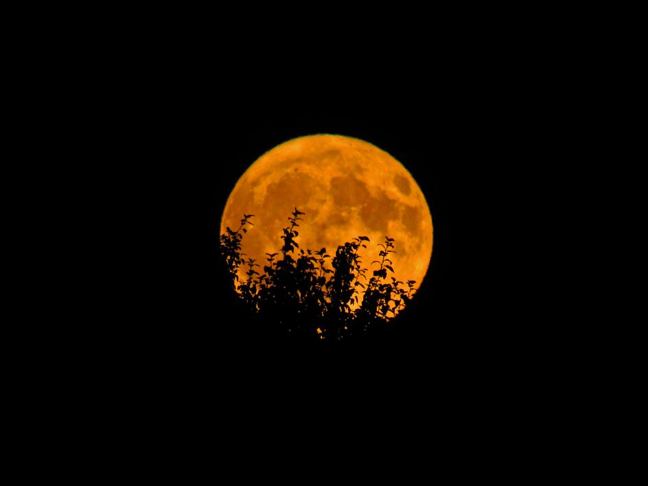 Orange Full Moon