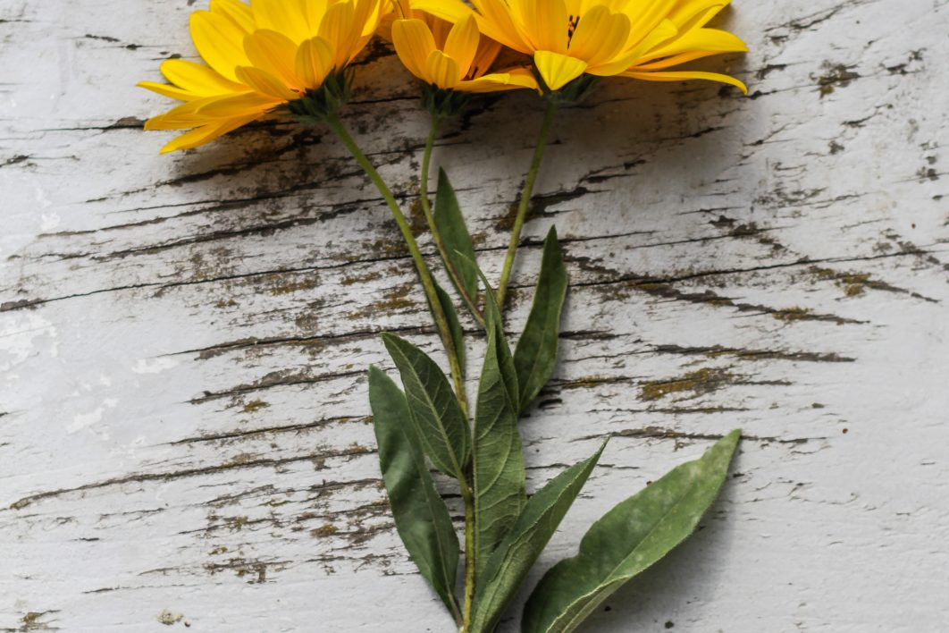 Rustic Yellow Flowers