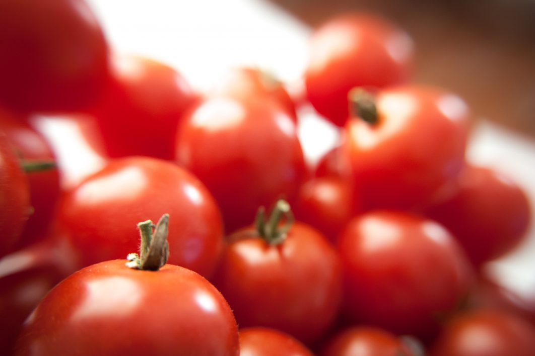 Fresh Tomatoes