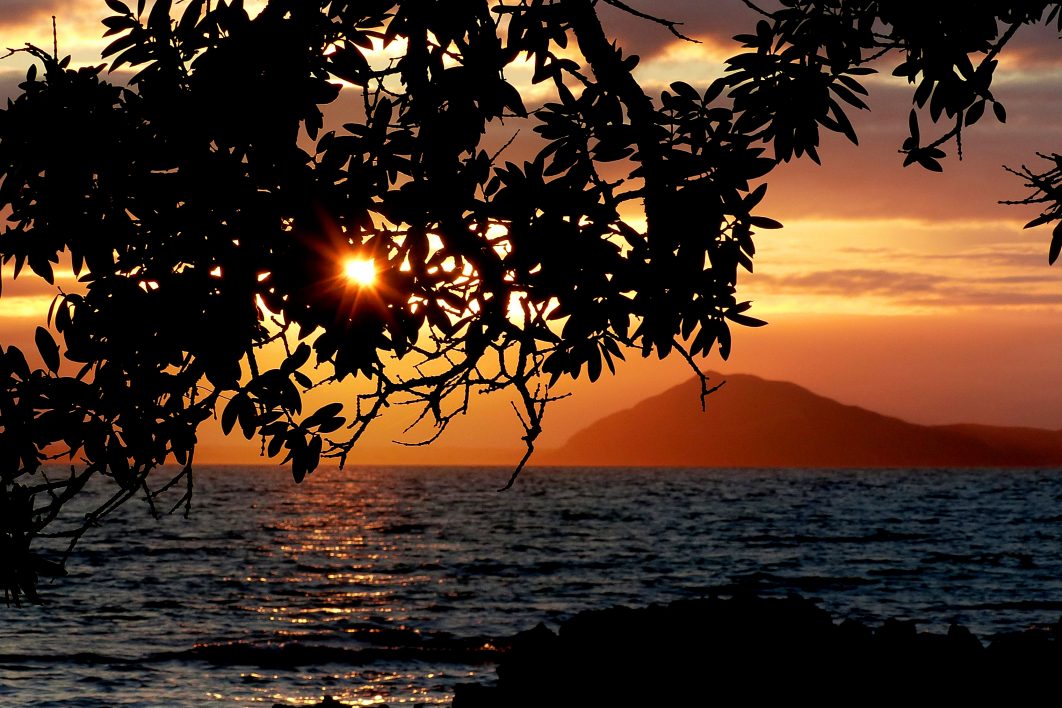 Beach Sunset Through Trees