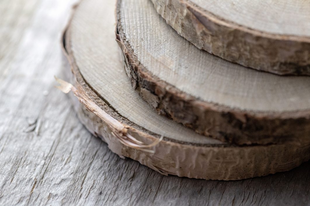 Wood Slices