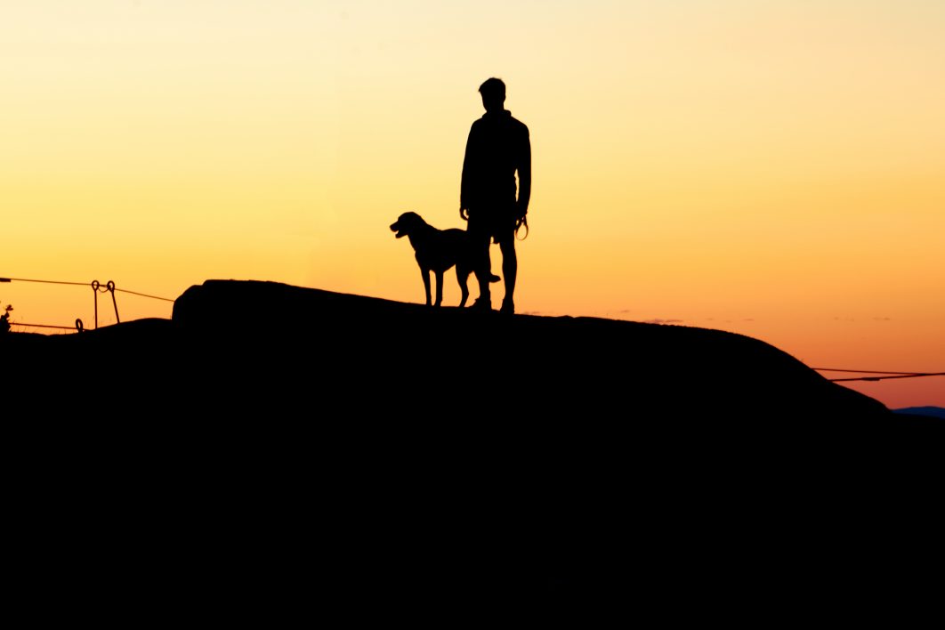 Boy and Dog Silhouette