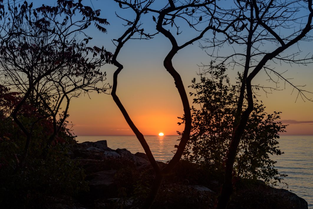 Water Sunset Through Trees