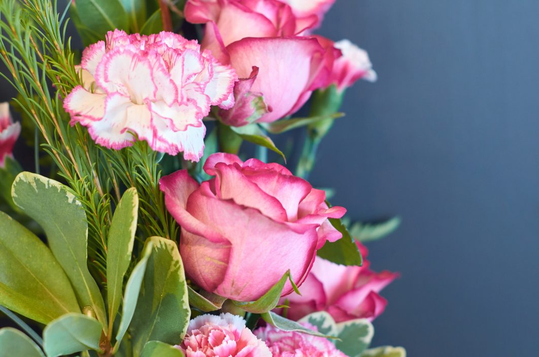 Pink Flowers Closeup
