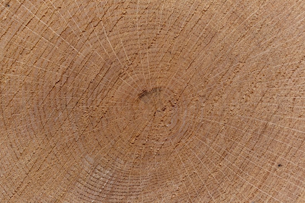 Tree Rings